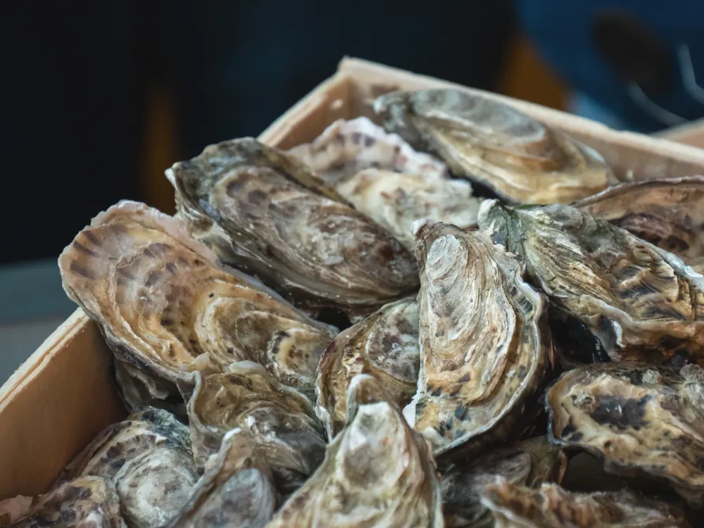 Fine French Food - Exportation d'huîtres française en 24h ! (1)